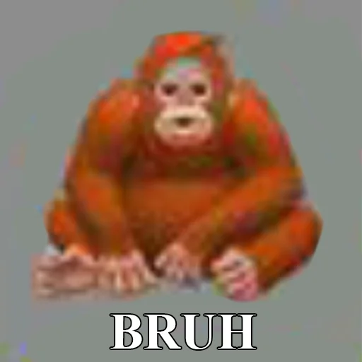 СМС обезьяний примат