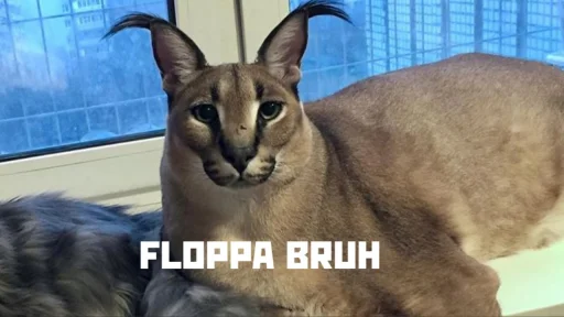 животное кошка млекопитающее