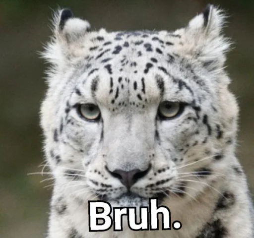 животное млекопитающее большая кошка