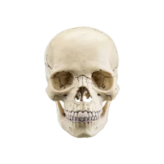 Sticker ohhellnah - 9