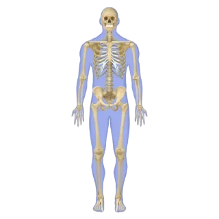 Sticker ohhellnah - 8