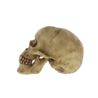 Sticker ohhellnah - 7