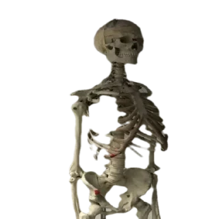 Sticker ohhellnah - 6