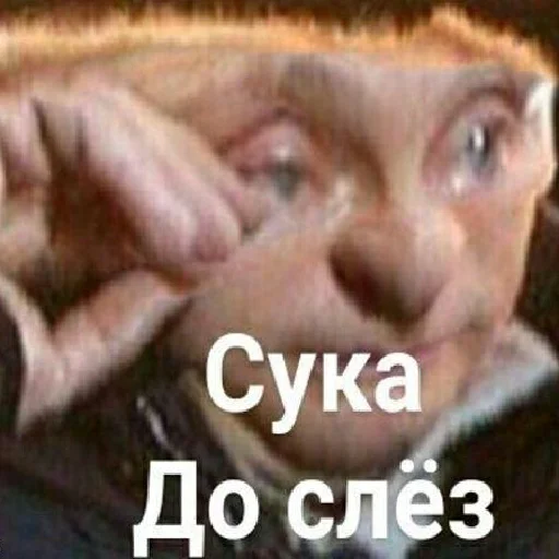 СМС животное млекопитающее