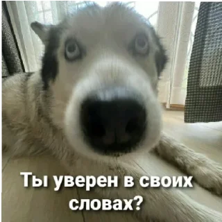 Стикер Бьтор - 0