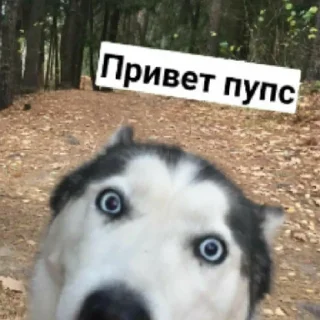 Стикер Бьтор - 1