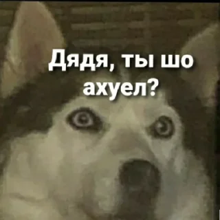 Стикер Бьтор - 2