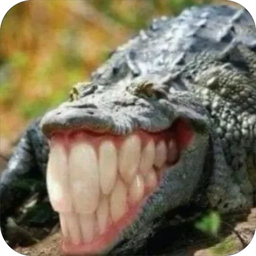 Стикер Bubblegum23 - 1