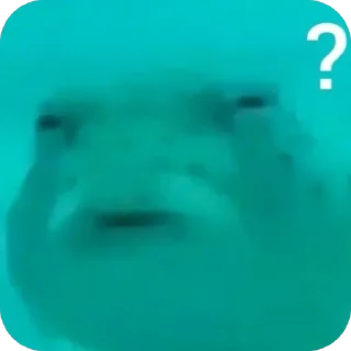 Стикер Bubblecum - 6