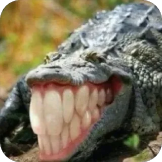 Стикер Bubblecum - 0