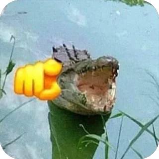 Стикер Bubblecum - 8