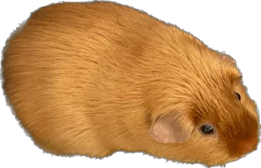 Стикер Bubenchik2023 - 1