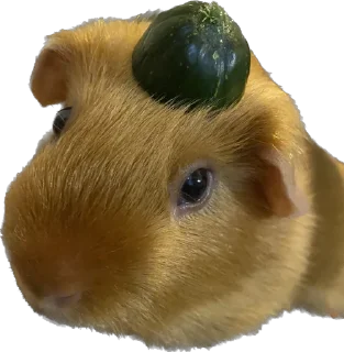 Стикер Бубенчик - 0