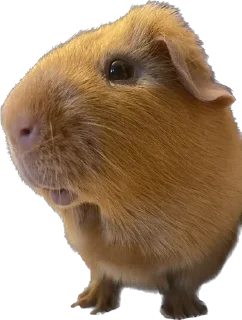 Стикер Бубенчик - 2