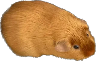 Стикер Бубенчик - 1