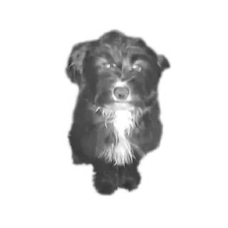 Sticker Бубырдерсы - 11