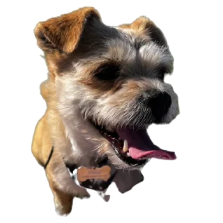 Sticker Бубырдерсы - 4