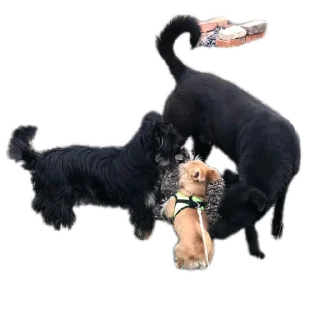 Sticker Бубырдерсы - 9