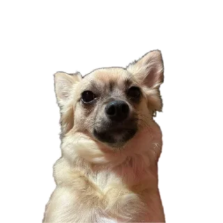 Sticker Бубырдерсы - 3