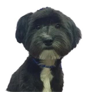 Sticker Бубырдерсы - 10