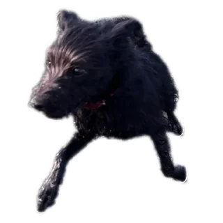 Sticker Бубырдерсы - 6