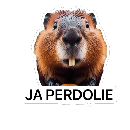 Sticker Bubr_kurwa - 1