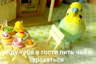 Sticker Стикерпак только для Буканира - 5