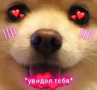 Sticker Стикерпак только для Буканира - 10