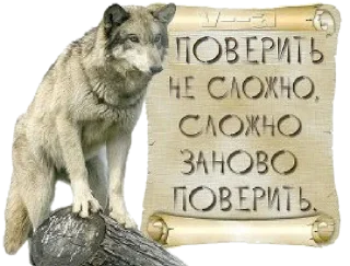 Стикер Justin Timberlake - 2