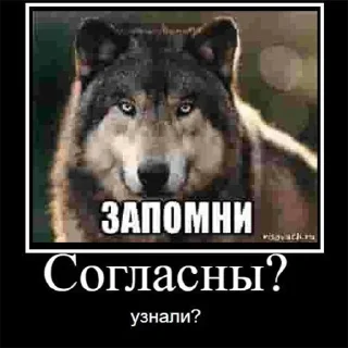 Стикер Justin Timberlake - 11