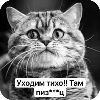 Стикер Буги - 1