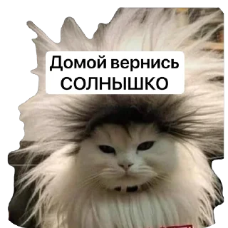 Стикер Буги - 2