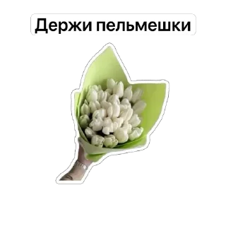 Sticker Бугрянские - 6