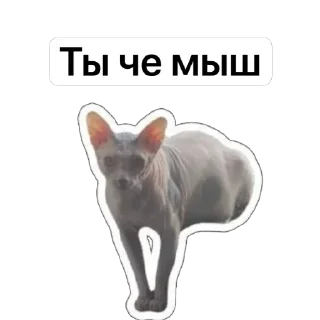 Sticker Бугрянские - 7