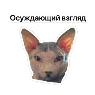 Sticker Бугрянские - 1