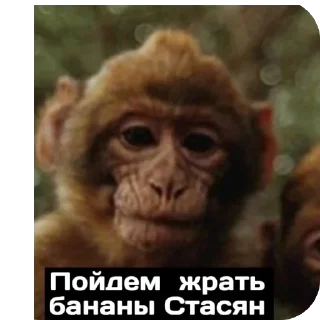 Sticker Бугульма - 0