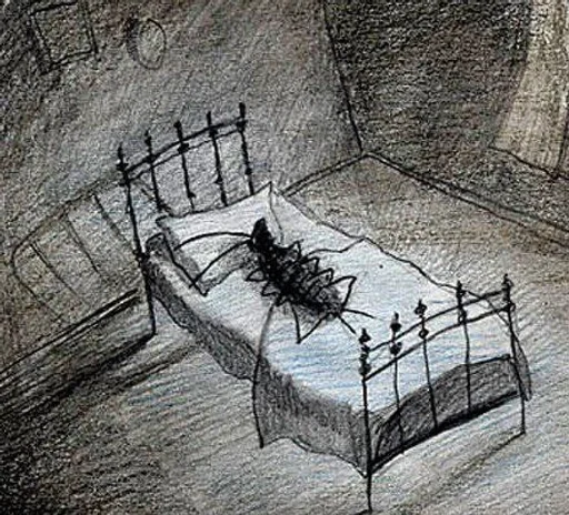 Буквально я @XOXJIbI_nUDOPbl - 