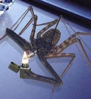 Sticker Буквально я @XOXJIbI_nUDOPbl - 11