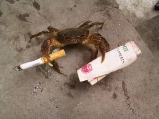 Sticker Буквально я @XOXJIbI_nUDOPbl - 3