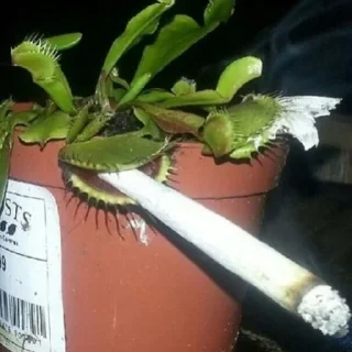 Sticker Буквально я @XOXJIbI_nUDOPbl - 5