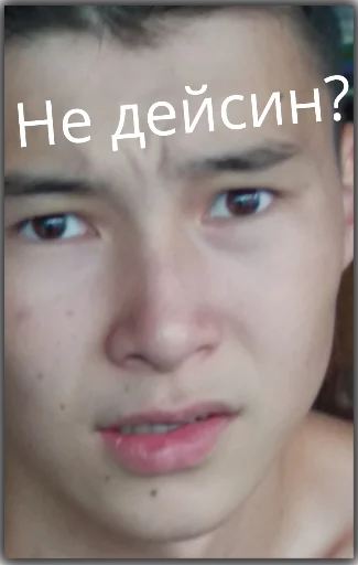 human face eyelash eyebrow