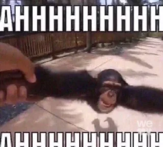 Sticker настюша бумбумчао стартер пак - 6