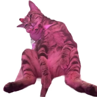 Sticker Булка - 3