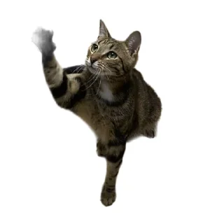 Sticker Булка - 4