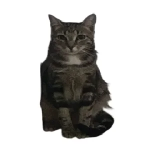 Sticker Булка - 10