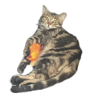 Sticker Булка - 7