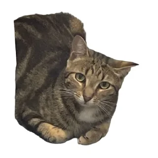 Sticker Булка - 0