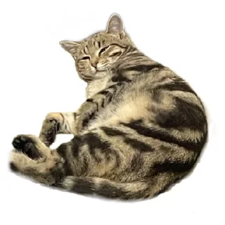 Sticker Булка - 5