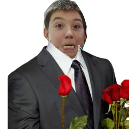 Sticker Бургеры с говядиной - 10