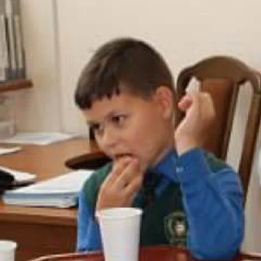 Sticker Бургеры с говядиной - 6